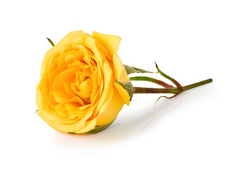 Similar image 1317555