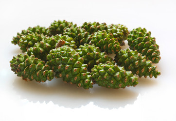 Similar image 1317574