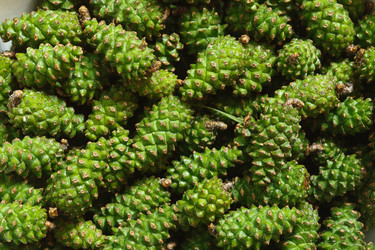 Similar image 1317576