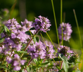 Similar image 1317578