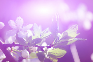 Similar image 1317583