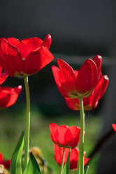 Similar image 1317587