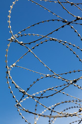 Similar image 1317718