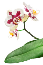 Similar image 1317861