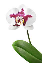 Similar image 1317862