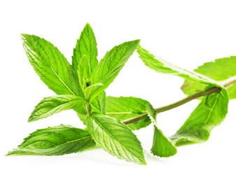 Similar image 1317866