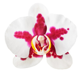 Similar image 1317867