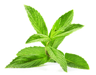 Similar image 1317869