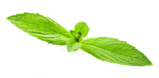 Similar image 1317870