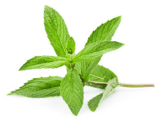 Similar image 1317872