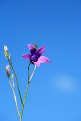 Similar image 1317891