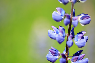 Similar image 1317892