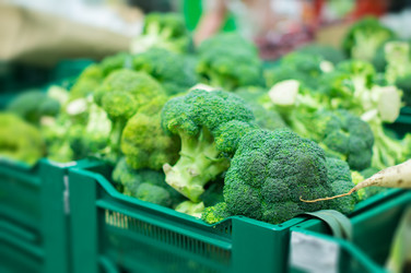 Similar image 1318365