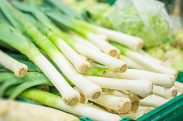 Similar image 1318369