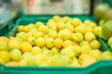 Similar image 1318406