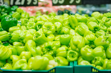 Similar image 1318407