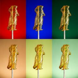 Similar image 1318411