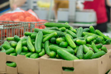 Similar image 1318414