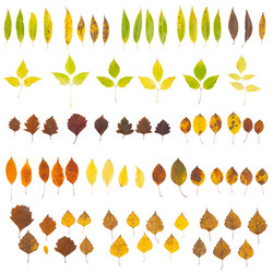 Similar image 1318434