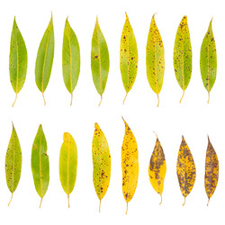 Similar image 1318435