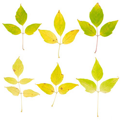 Similar image 1318436