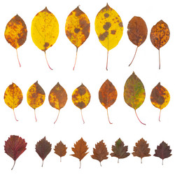 Similar image 1318437