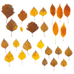 Similar image 1318438