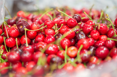 Similar image 1318444