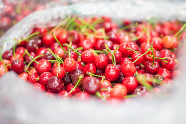 Similar image 1318445