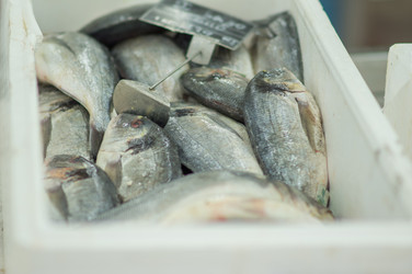 Similar image 1318484