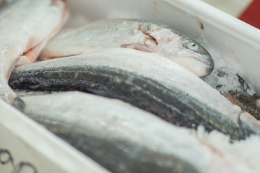 Similar image 1318486