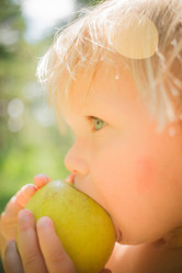 Similar image 1318490