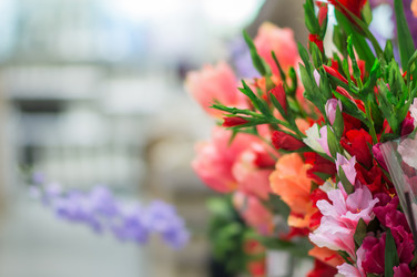 Similar image 1318495