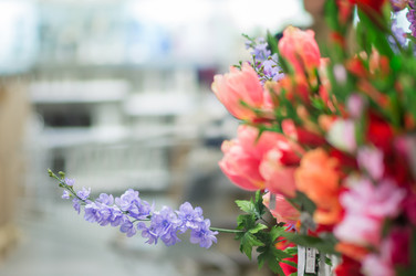 Similar image 1318496