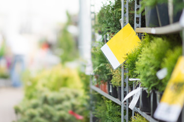 Similar image 1318539