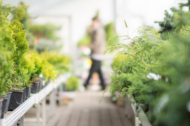 Similar image 1318544