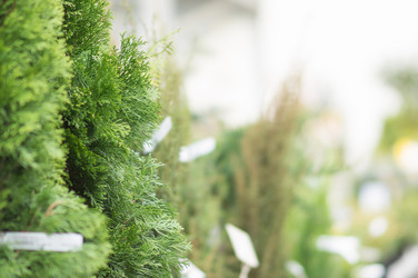 Similar image 1318552