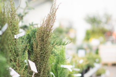 Similar image 1318553