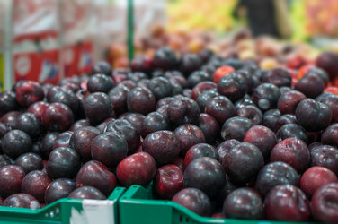 Similar image 1318566