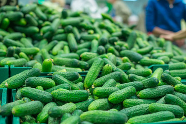 Similar image 1318567