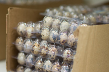 Similar image 1318573