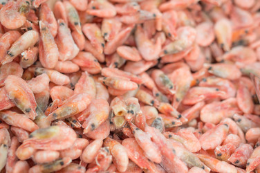 Similar image 1318582