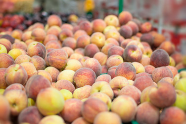 Similar image 1318589