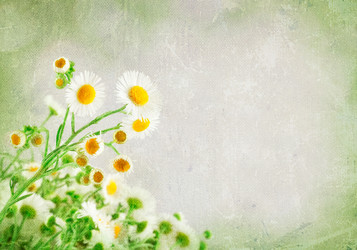 Similar image 1318699