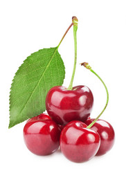 Similar image 1318700