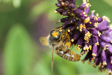 Similar image 1319258