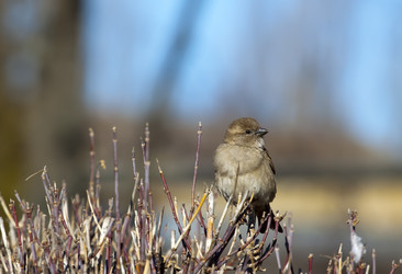 Similar image 1319260