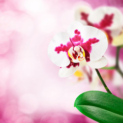 Similar image 1319298