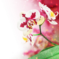 Similar image 1319299