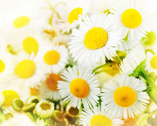 Similar image 1319300